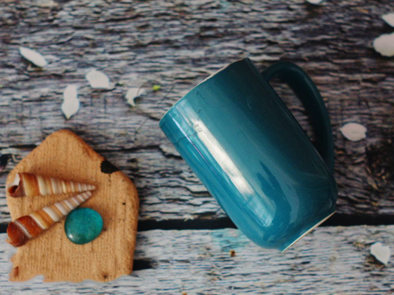 Ly sứ màu đáy bầu lòng trắng